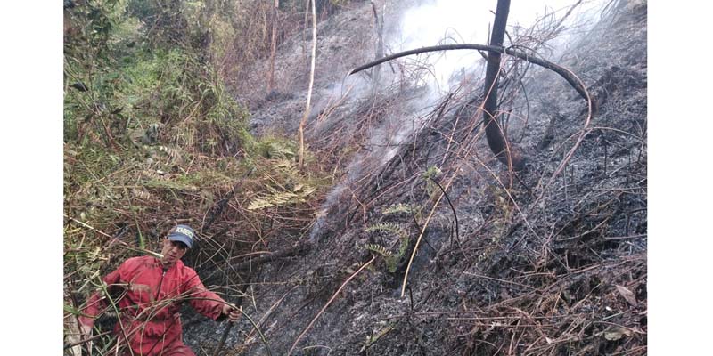 Baja la alerta por probabilidad de incendios forestales en 17 municipios



































