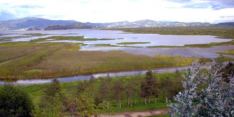Procuraduría presentó informe ambiental de la laguna de Fúquene




