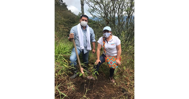 Cuarenta mil árboles protegerán los ecosistemas de Cundinamarca