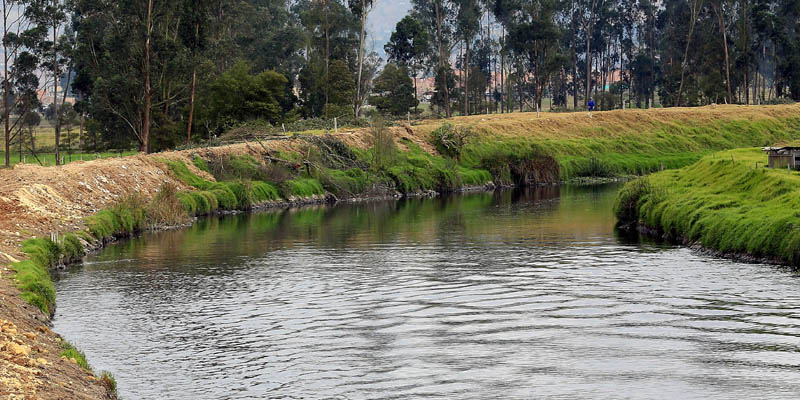 Gobierno departamental supervisa avances en la reforestación de la cuenca alta del río Bogotá









