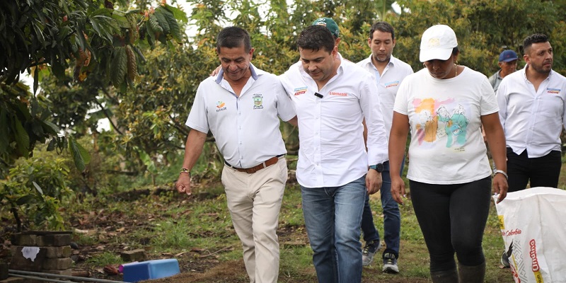 Agencia de Comercialización compró 2.500 kilos de aguacate a productores de Caparrapí