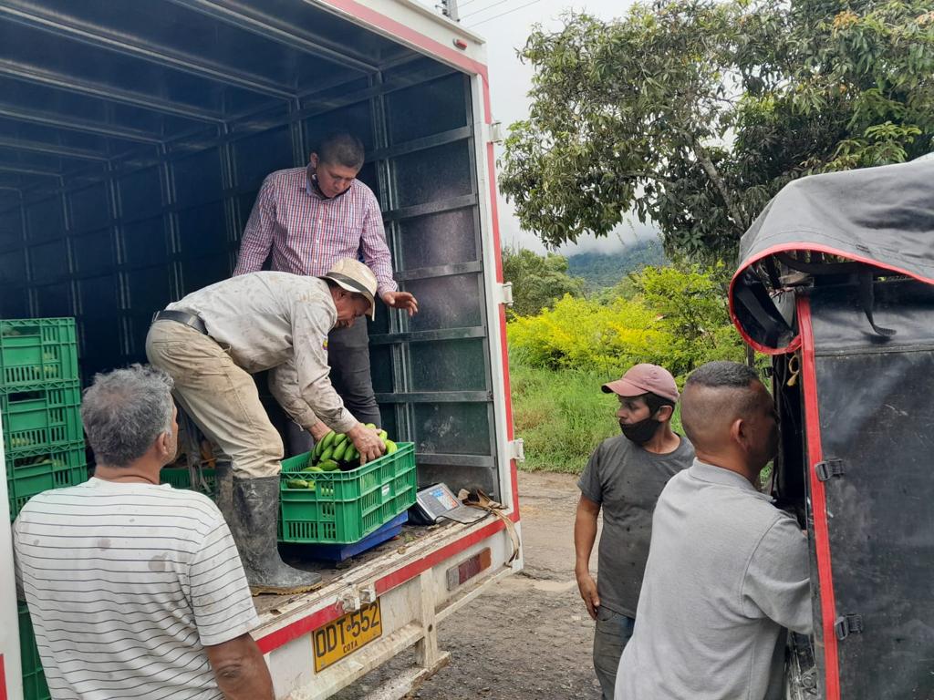 Llega Misión rescate para ayudar a los pequeños productores de Cundinamarca












