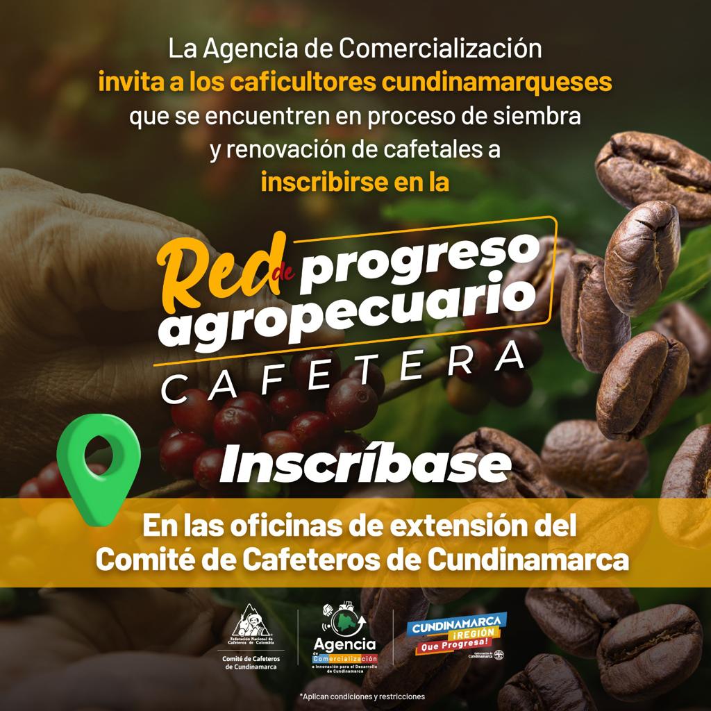 Tarjeta cafetera, la nueva línea de la Red de Progreso Agropecuario