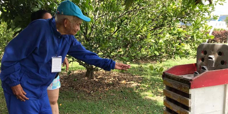 Adultos mayores del Centro Bienestar del Anciano Belmira disfrutaron un día de campo




