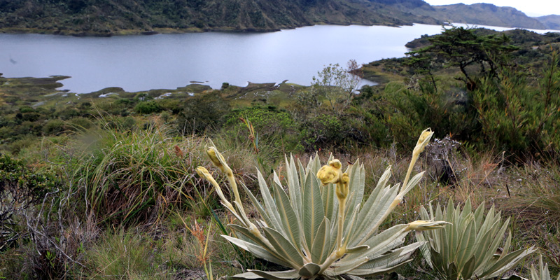 Más de $12 mil millones para la protección del agua de Cundinamarca