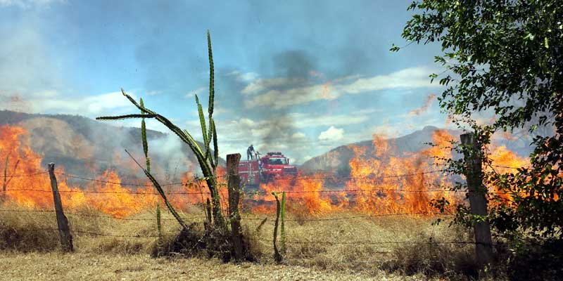 Alerta roja por probabilidad de incendios forestales en 13 municipios































