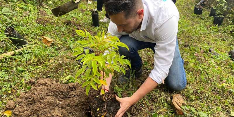 2.200 árboles sembrados por la secretaría TIC en cinco municipios




