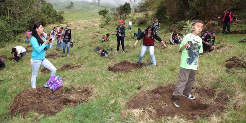 Siembra de 44.000 árboles para revitalizar la cuenca del río Bogotá



















































































