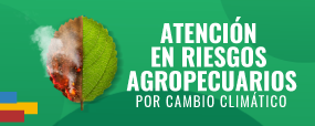 Imagen Atención en Riesgos Agropecuarios por Cambio Climático