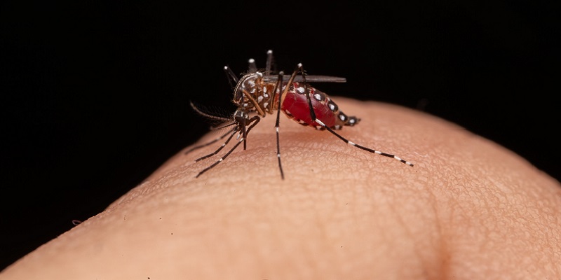 Cundinamarca refuerza prevención del dengue ante incremento de casos por fenómeno de 'El Niño'