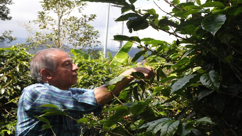 Cundinamarca rinde homenaje a todos los pequeños, medianos y grandes productores del territorio






