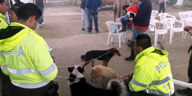 La campaña ‘Cundinamarca protege tu animal de compañía’ llegó a La Vega






