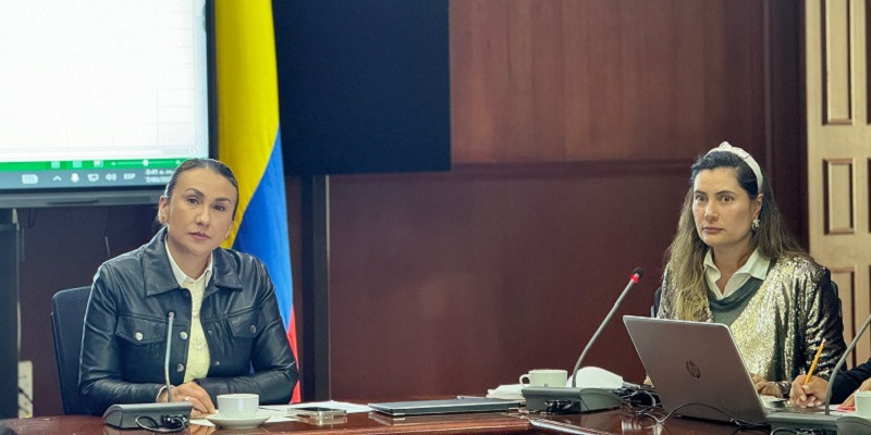 Segundo Comité Departamental de Lucha Contra la Trata de Personas en Cundinamarca