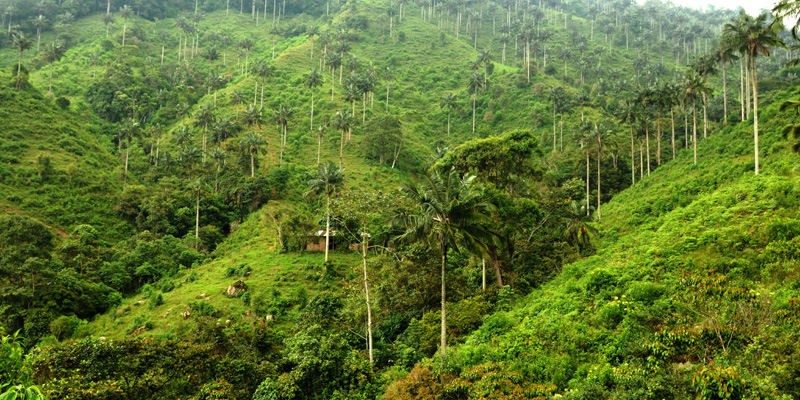 Cundinamarca enciende la fe de Semana Santa en paz con la naturaleza