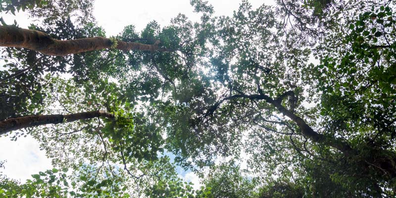 En el Día Mundial del Clima Cundinamarca promueve reflexión sobre cuidado de los ecosistemas