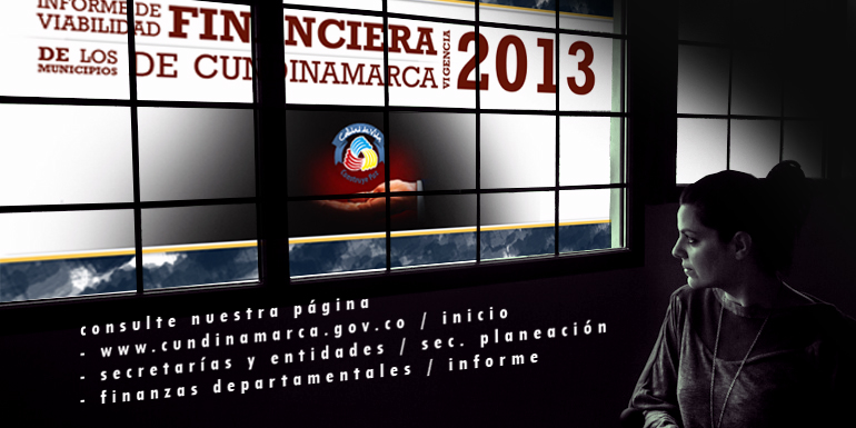 Informe de viabilidad financiera - Vigencia 2013